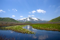尾瀬国立公園のイメージ